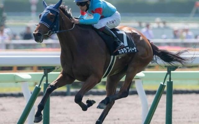 【秋華賞】フランケル産駒が5年ぶりのJRA・GI制覇なるか 3連勝中のカネラフィーナが一発狙う
