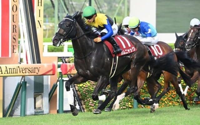 【秋華賞予想オッズ】カムニャックが予想1番人気