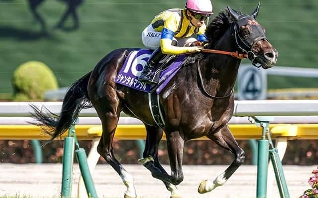 【富士S想定騎手】ジャンタルマンタルは川田将雅騎手、ソウルラッシュは団野大成騎手