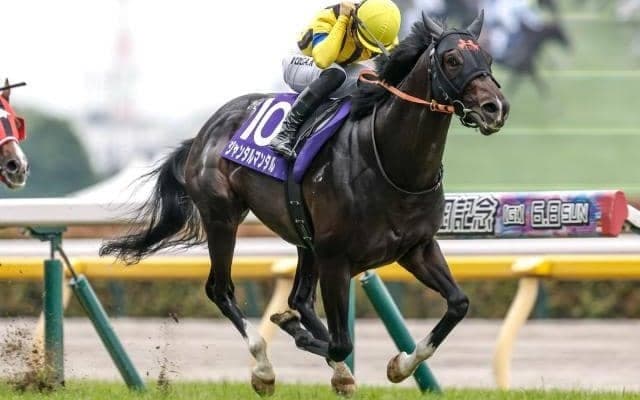 【富士S予想オッズ】ジャンタルマンタルが予想1番人気