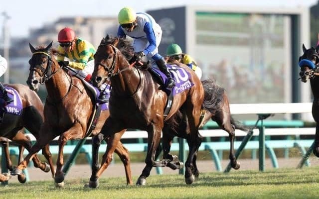 ロードカナロアはリーディングサイアーになれるのか キズナとの王座争いについて解説