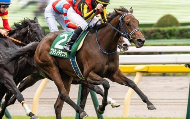 秋華賞で史上最多タイの同一馬主GI・4連覇なるか