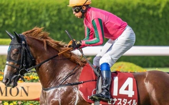 【秋華賞】母は11年前に1番人気で2着 セナスタイルがGI初挑戦初制覇なるか