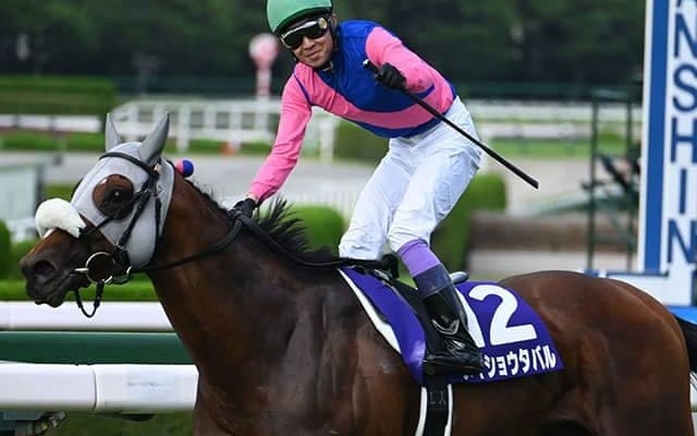 【天皇賞(秋)想定】メイショウタバルやタスティエーラなど15頭