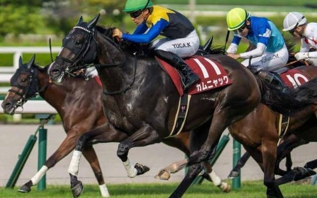 【秋華賞】樫との2冠達成なら2年連続6頭目 カムニャックが女王防衛なるか