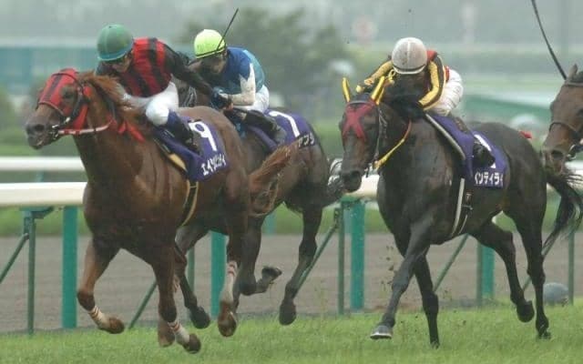エイシンデピュティが23歳で死す 08年宝塚記念など重賞4勝