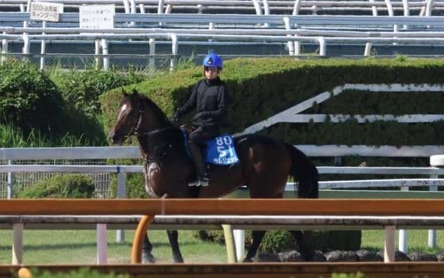 ラムジェットなど、先週の入厩情報/栗東トレセンニュース