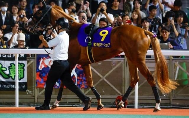 「前走ダート」の異例ローテで秋華賞Vへ クリノメイが17年前の1000万馬券を再現するか