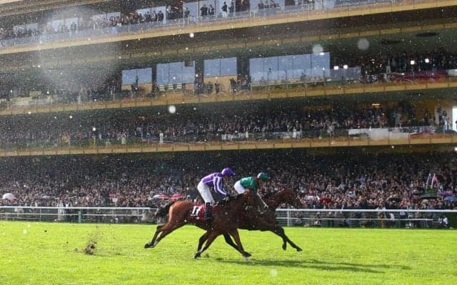 ジャパンカップとチャンピオンズカップに海外から計23頭が予備登録…愛ミニーホークなど