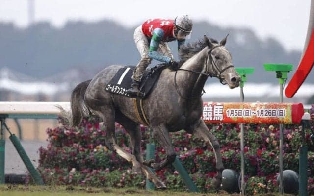 【豪コーフィールドカップ】ゴールデンスナップ、18番枠から豪G1挑戦