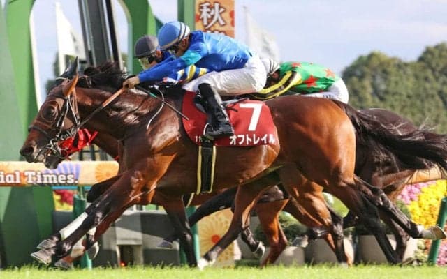 【スワンS】レコード決着！オフトレイルが重賞2勝目