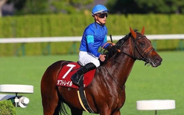 【スワンS】菅原明「当初の予定とは違ったレースになり…」オフトレイルがレコードV