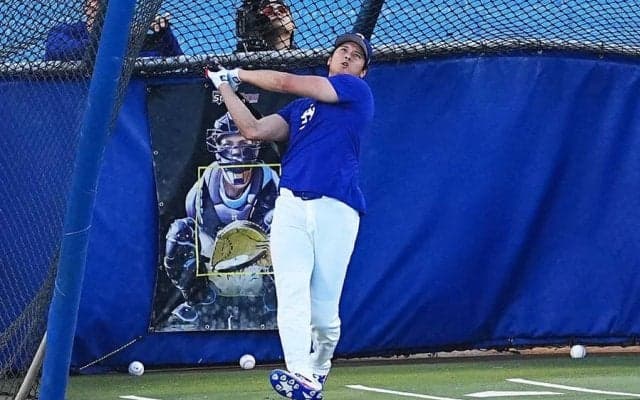 大谷の屋外フリー打撃、カーショー＆フリーマンが視察　屋根裏直撃150m弾にどよめき