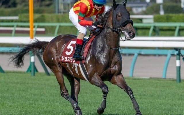 【秋華賞】全兄エフフォーリアに続くGI制覇へ ジョスランは栗東滞在で参戦だ