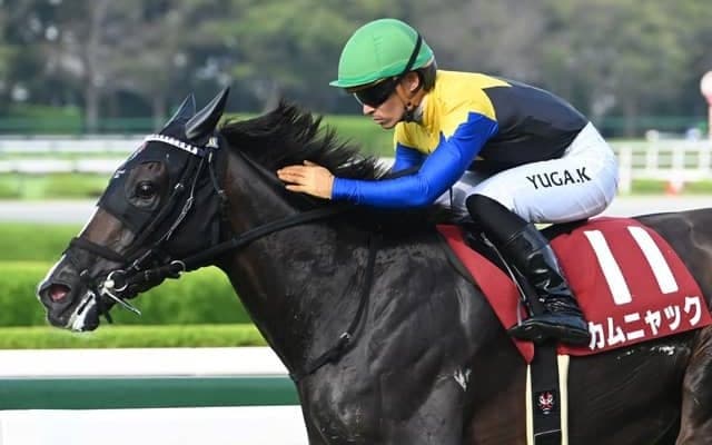 【秋華賞枠順確定】カムニャックは8枠17番、エンブロイダリーは6枠11番