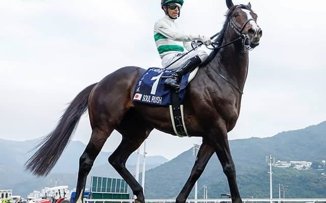 【富士S枠順確定】ソウルラッシュは4枠6番、ジャンタルマンタルは8枠14番