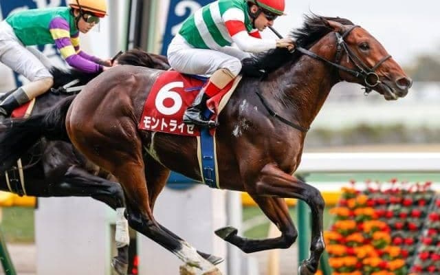20年京王杯2歳S覇者モントライゼが登録抹消 京都府で乗馬になる予定