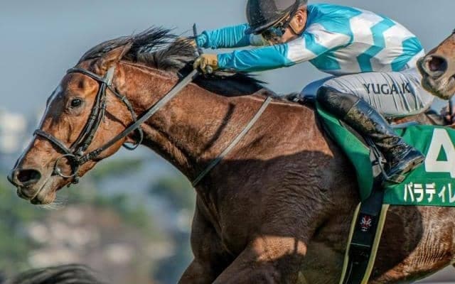 週末の京都は雨模様 道悪で浮上する秋華賞の穴馬とは？