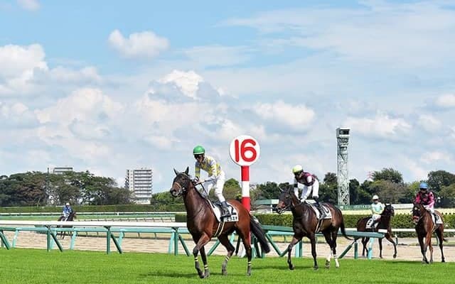 『ザ・ロイヤルファミリー』で話題に 競走馬の預託料は“年850万円”ってホント!?