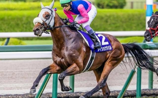 【天皇賞(秋)想定馬・騎手】メイショウタバル、タスティエーラなど16頭