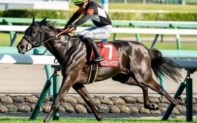 秋華賞はキンカメの血が5連勝中 今年の該当馬は？