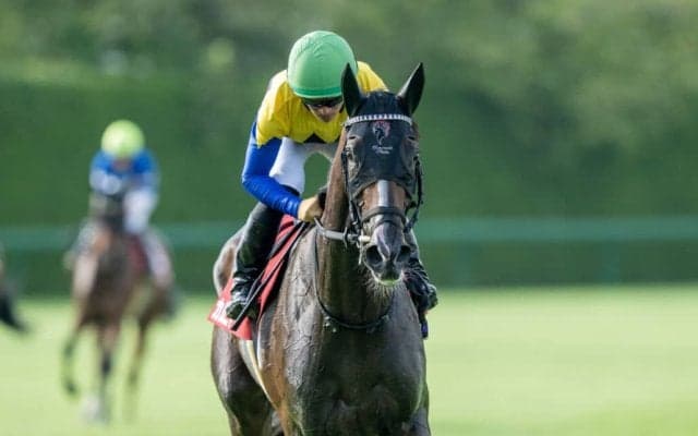 【秋華賞】桜花賞馬＆オークス馬が激突…枠順確定