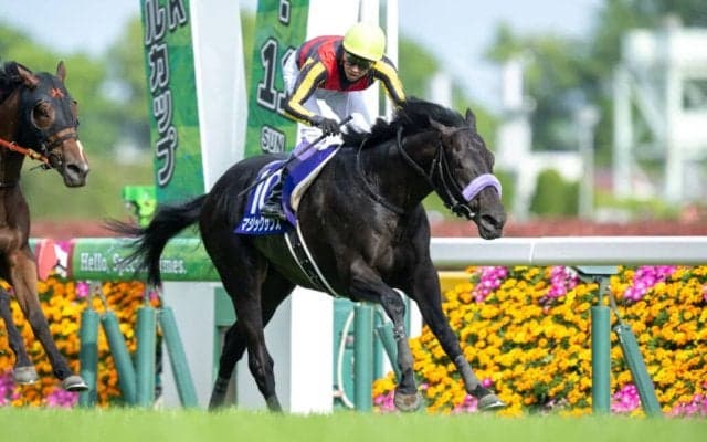 武豊騎手 今週の騎乗馬…マジックサンズなど12鞍