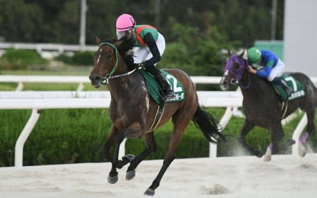 【YJSトライアル園田】柴田裕一郎＆塩津璃菜がV…西塚洸二がトップに浮上