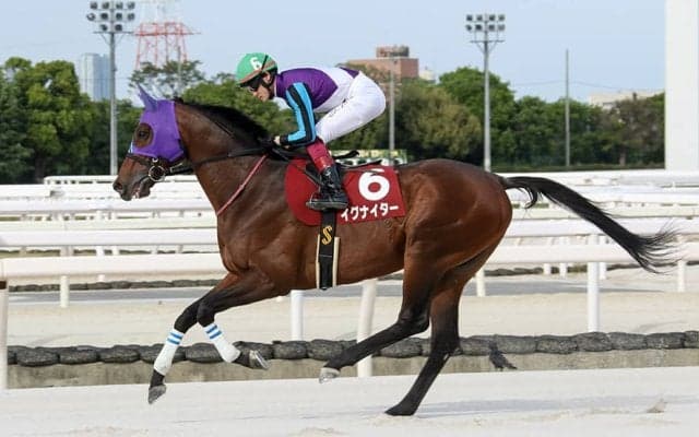【地方競馬】ファン投票1位は引退が決まったイグナイター、2位にコリアカップVのディクテオン