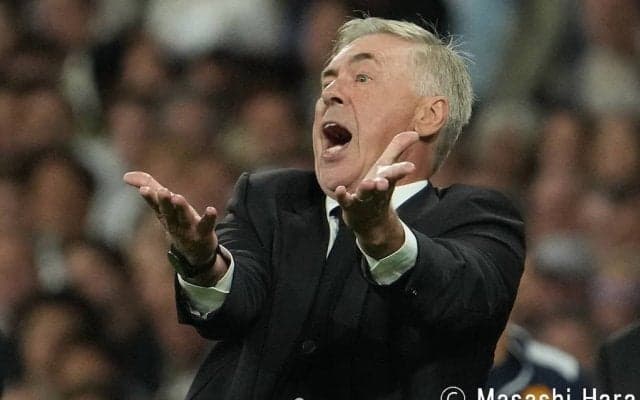 “歴史的敗戦”ブラジル代表監督が足立区の相撲部屋で稽古見学!?｢力士に囲まれるアンチェロッティ合成みたい｣｢相撲に興味あったんか？｣さらには｢DF探しかな｣