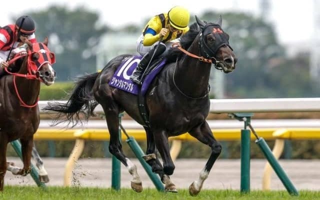 【今日の注目ポイント】東京でマイルCSの前哨戦・富士S