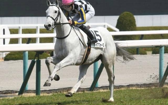 【富士S予想】逃げ馬不在で落ち着いた流れか 道中で我慢できる精神力がポイントに