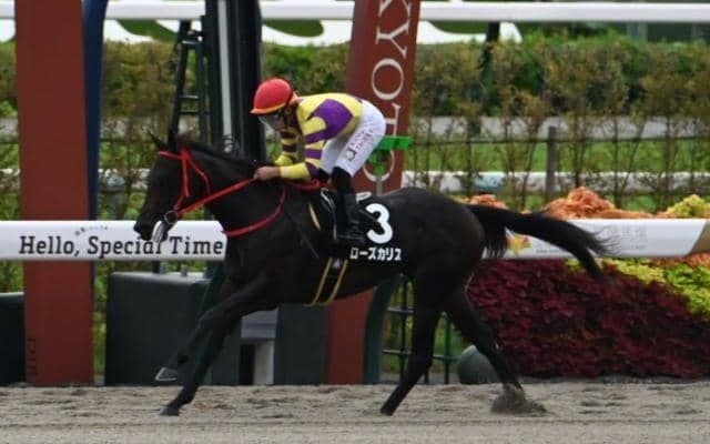 【なでしこ賞結果】4番人気ローズカリスが逃げ切り勝ち