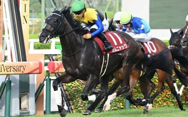 【秋華賞前日オッズ】オークス馬カムニャックが2.2倍で1番人気