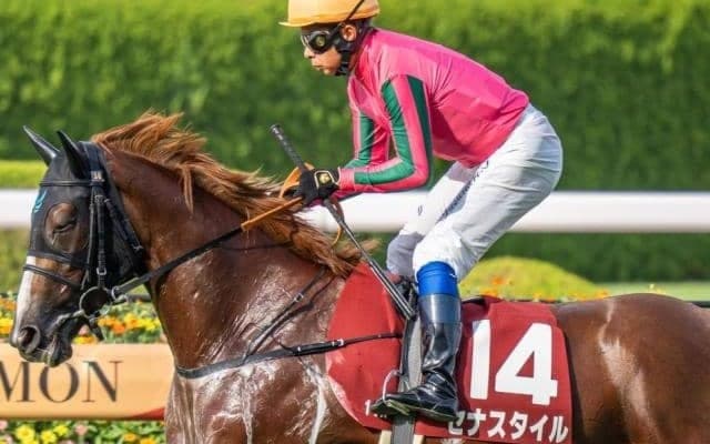 霜降り明星・粗品はセナスタイルを本命に抜擢 秋華賞は3連複で勝負だ