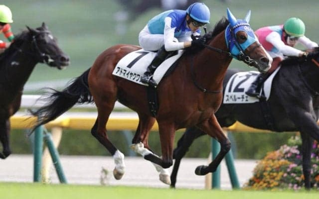 【新馬/東京5R】リアルスティール産駒 アドマイヤクワッズがデビューV