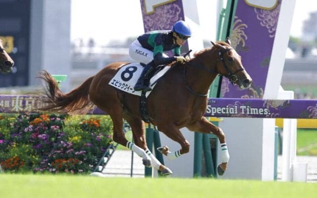 【新馬/東京4R】エピファネイア産駒 エピッククイーンがデビューV