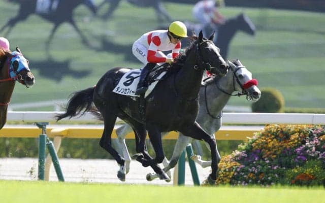 【東京3R】コントレイル産駒 ダノンセフィーロが断然の支持に応える