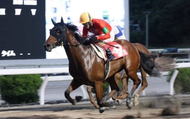 【高知・月見台特別】ユラリユラメイテが逃げ切って5勝目