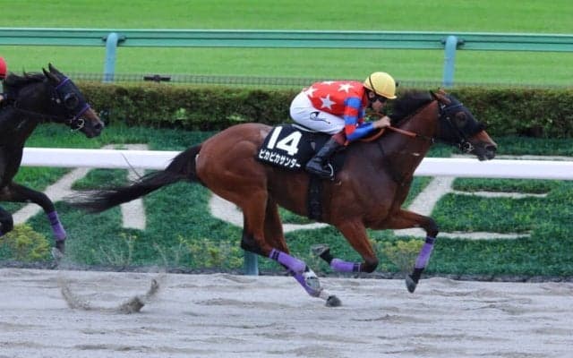 【伊勢佐木S】ピカピカサンダーが4連勝でオープン入り…グロバーテソーロはスタートで落馬