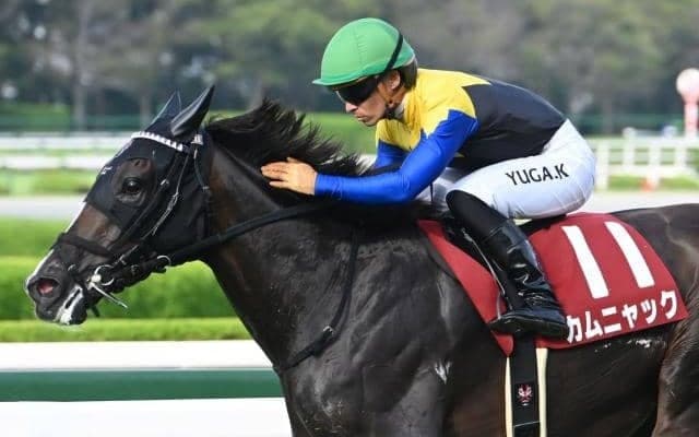 【今日の注目ポイント】京都で牝馬三冠最終戦・秋華賞