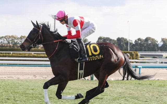 【競馬予想】秋華賞はカムニャックの「１強」も、好配当をもたらす伏兵２頭の大駆けに期待
