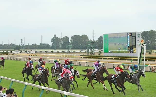 【新潟3R結果】3連単839万6420円の大波乱 単勝オッズ427.6倍の17番人気コムーネが2着激走
