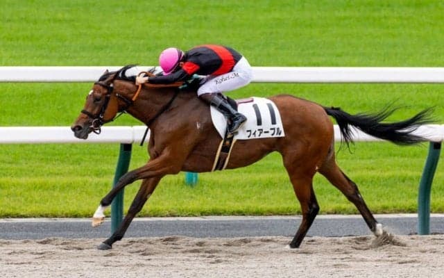 【京都1R】単勝1.4倍フィアーブルが快勝