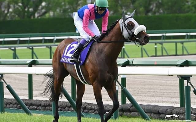 【天皇賞(秋)】メイショウタバル、タスティエーラらが登録