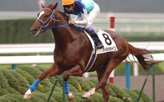 レコードタイムを生んだ武豊騎手の「大逃げ」 アドマイヤメインの菊花賞