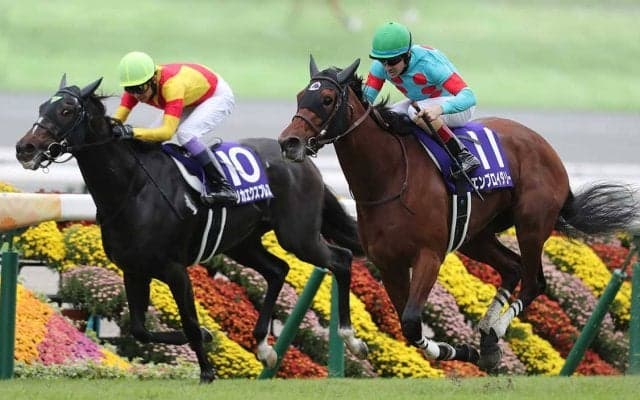 【秋華賞】ジョッキーカメラに見たカムニャックの異変と、勝敗を分けたルメール騎手の好判断に「ガチで神騎乗」の声
