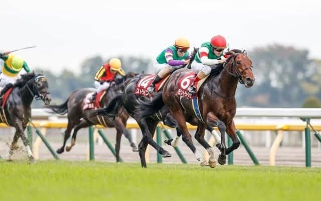 【先週のJRA抹消馬】20年の京王杯2歳S覇者モントライゼ、昨春のアネモネSを制したキャットファイトなど