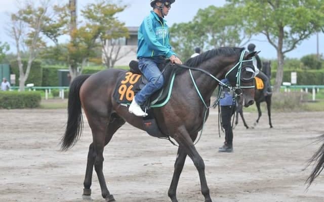 祖母はアドマイヤグルーヴのウップヘリーアが土曜東京で初陣 黒岩師「素質の高さを感じる」/関東馬メイクデビュー情報