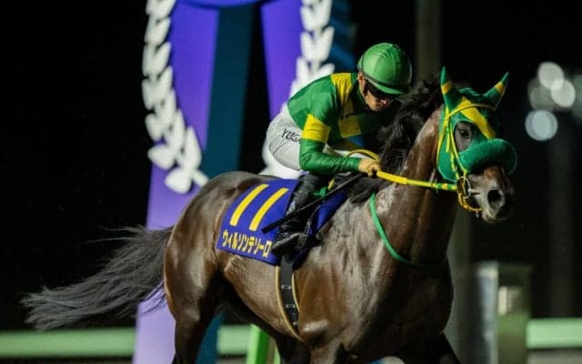 JBC各競走の選定馬が決定…ウィルソンテソーロなど